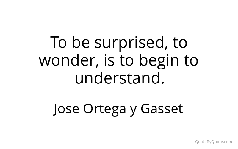 Preview image for this quote by Jose Ortega y Gasset