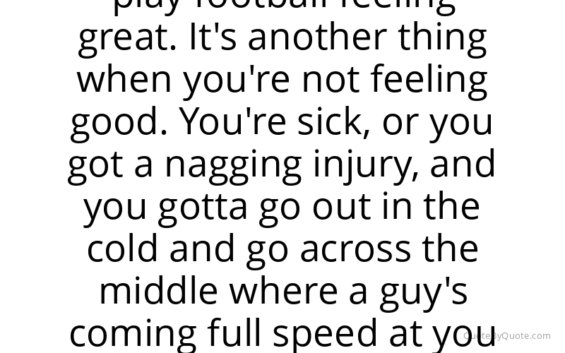 Preview image for this quote by Julian Edelman