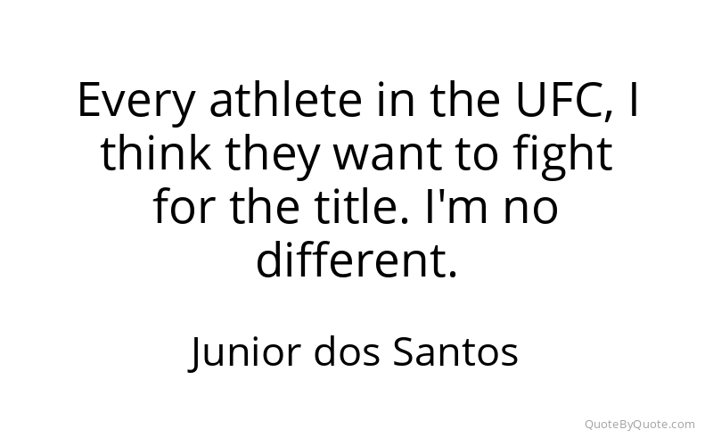 Preview image for this quote by Junior dos Santos