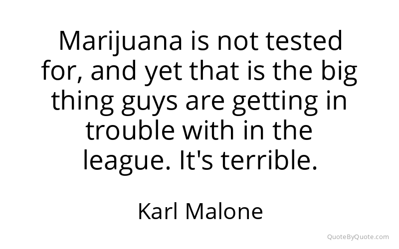 Preview image for this quote by Karl Malone