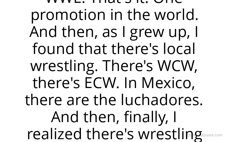 Preview image for this quote by Kenny Omega