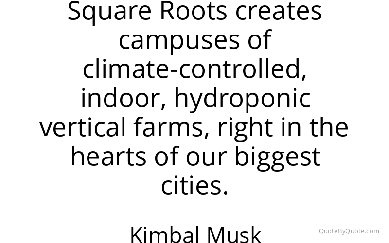 Preview image for this quote by Kimbal Musk