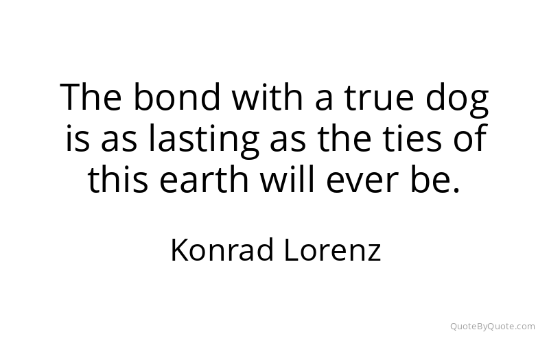 Preview image for this quote by Konrad Lorenz