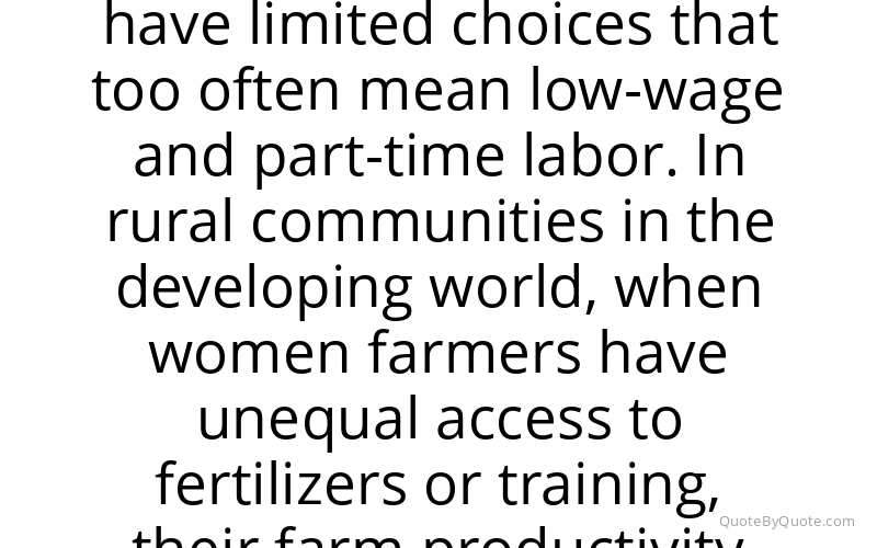 Preview image for this quote by Lael Brainard