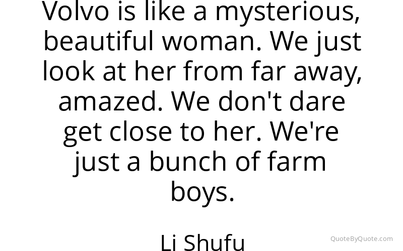 Preview image for this quote by Li Shufu