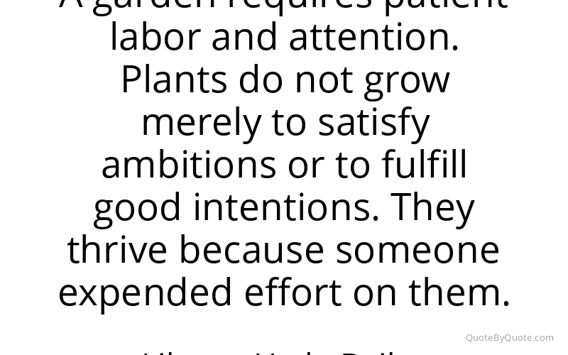 Preview image for this quote by Liberty Hyde Bailey