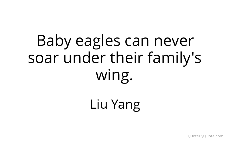 Preview image for this quote by Liu Yang