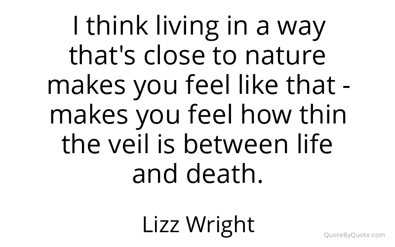 Preview image for this quote by Lizz Wright