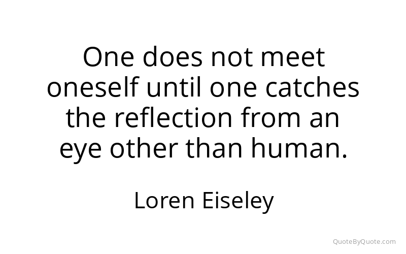 Preview image for this quote by Loren Eiseley