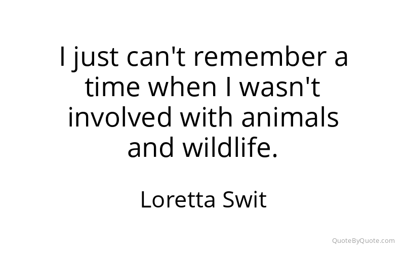 Preview image for this quote by Loretta Swit