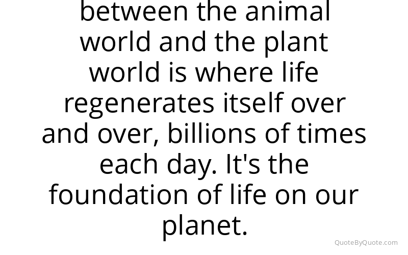 Preview image for this quote by Louie Schwartzberg