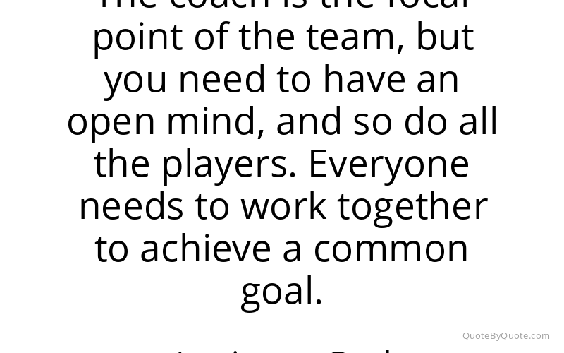 Preview image for this quote by Louis van Gaal