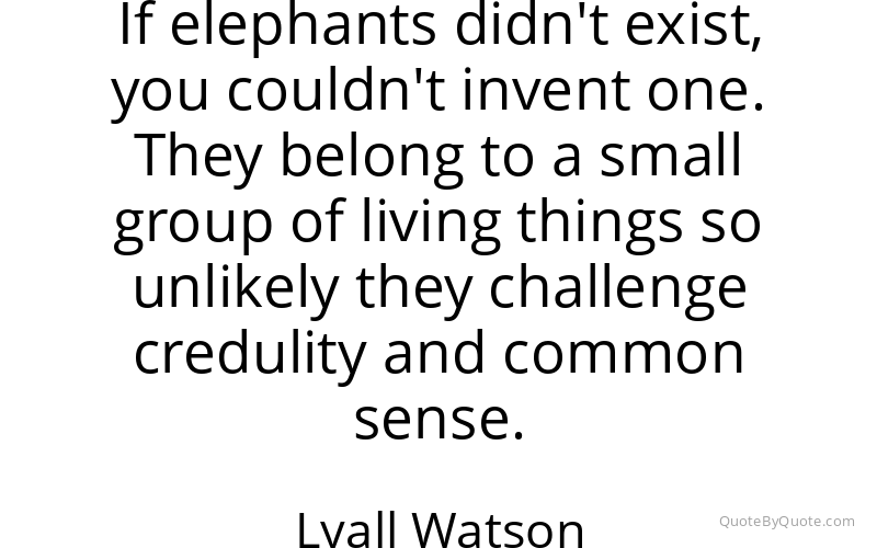 Preview image for this quote by Lyall Watson