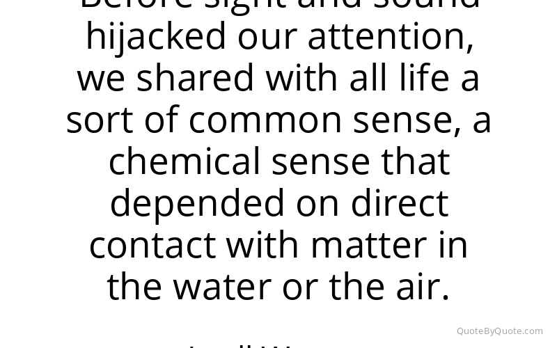 Preview image for this quote by Lyall Watson