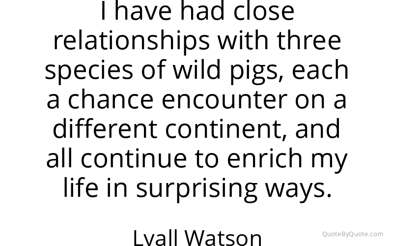 Preview image for this quote by Lyall Watson