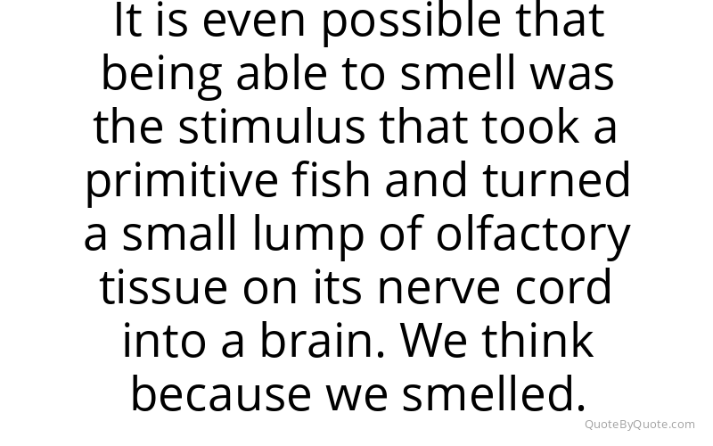 Preview image for this quote by Lyall Watson