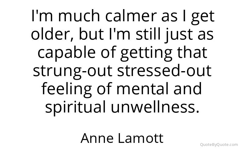 Preview image for this quote by Anne Lamott