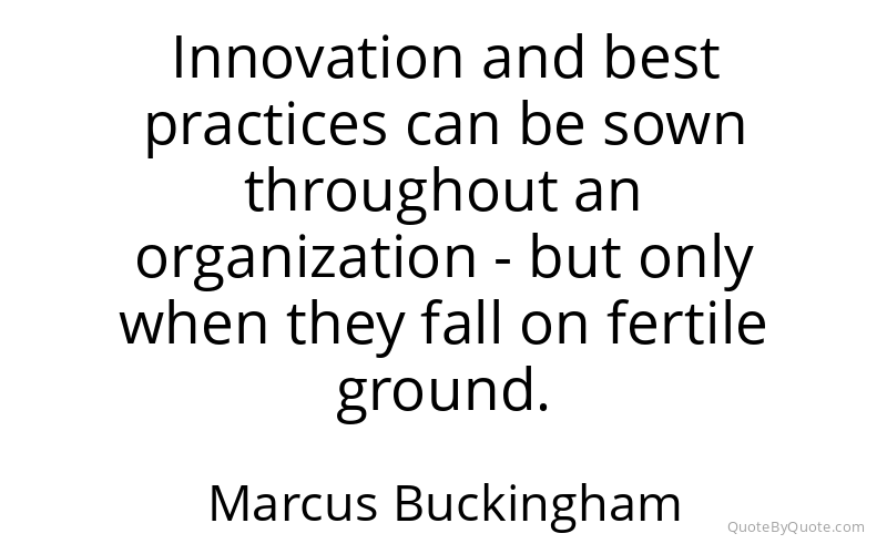 Preview image for this quote by Marcus Buckingham