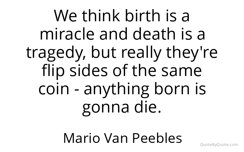 Preview image for this quote by Mario Van Peebles