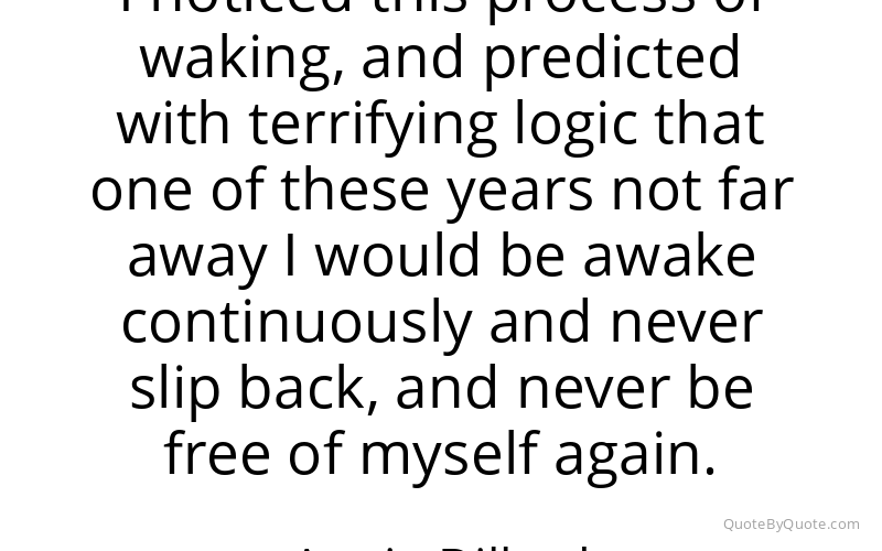 Preview image for this quote by Annie Dillard