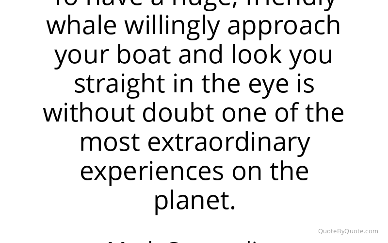 Preview image for this quote by Mark Carwardine