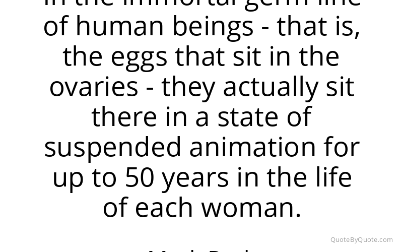 Preview image for this quote by Mark Roth