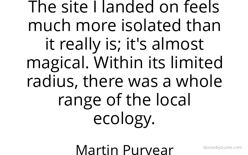 Preview image for this quote by Martin Puryear