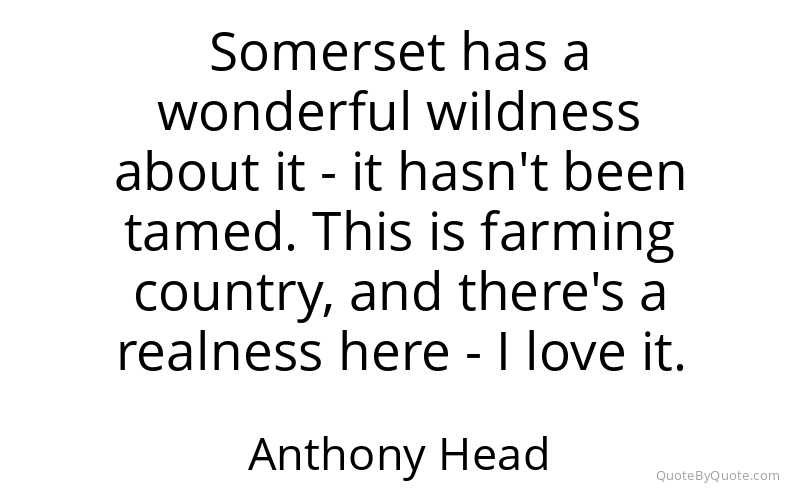 Preview image for this quote by Anthony Head