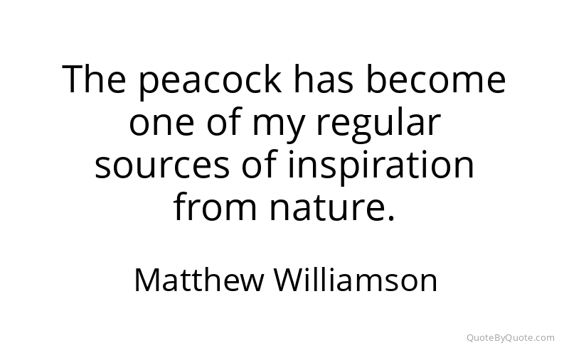 Preview image for this quote by Matthew Williamson