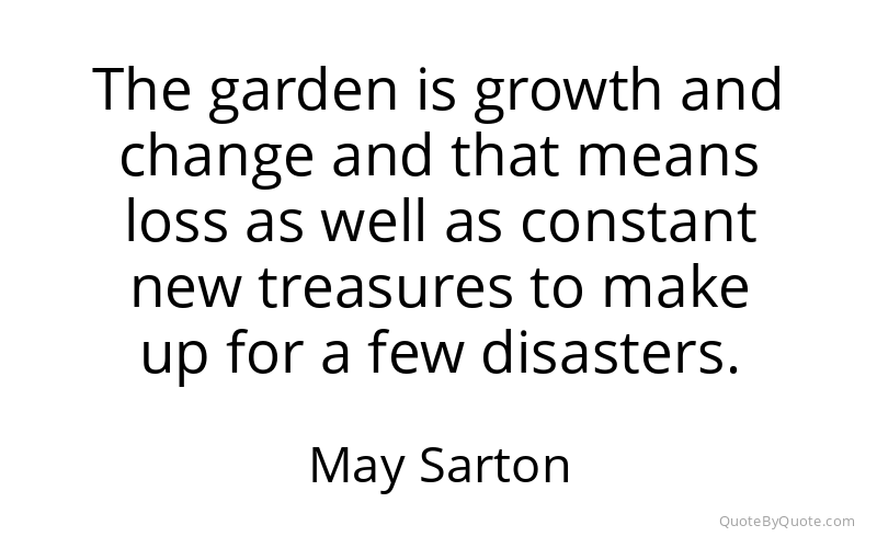 Preview image for this quote by May Sarton