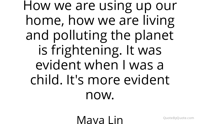 Preview image for this quote by Maya Lin