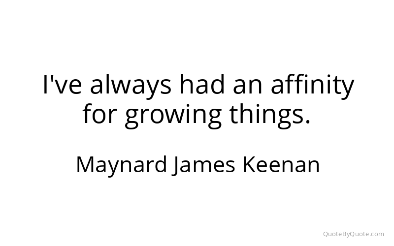 Preview image for this quote by Maynard James Keenan