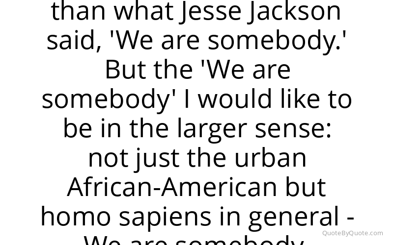 Preview image for this quote by Melvin Van Peebles