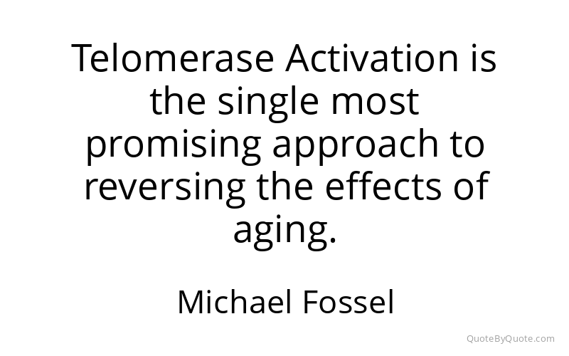 Preview image for this quote by Michael Fossel