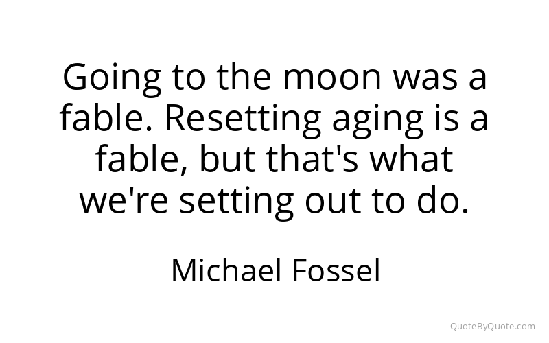 Preview image for this quote by Michael Fossel