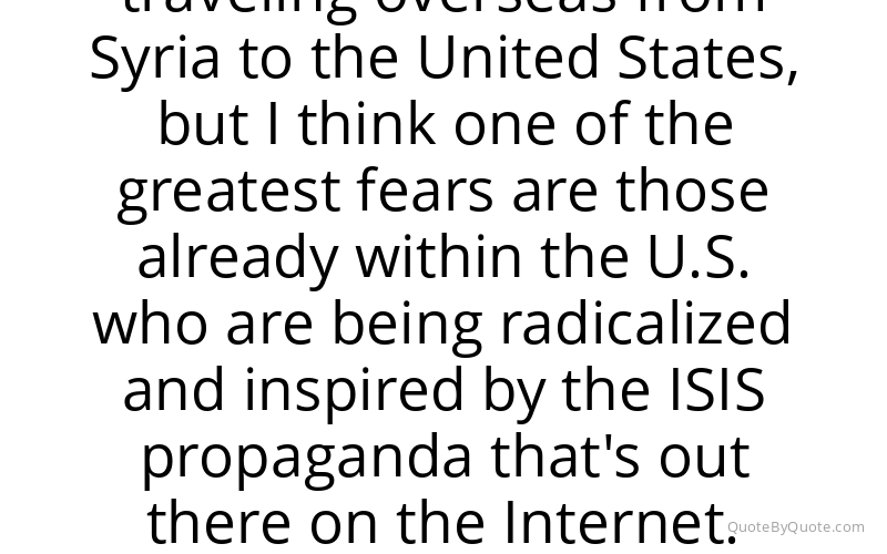 Preview image for this quote by Michael McCaul