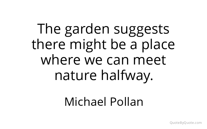 Preview image for this quote by Michael Pollan