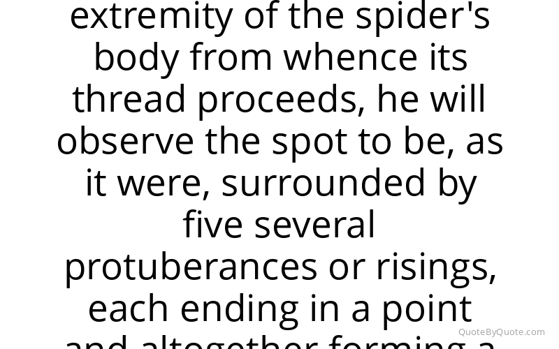 Preview image for this quote by Antonie van Leeuwenhoek