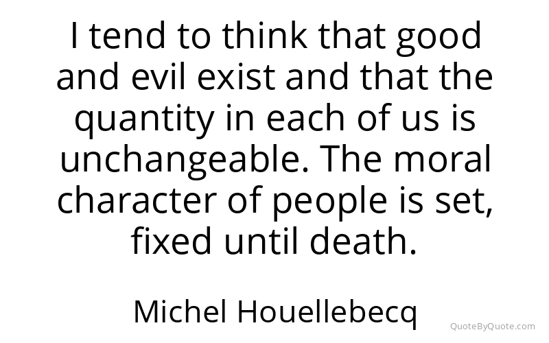Preview image for this quote by Michel Houellebecq