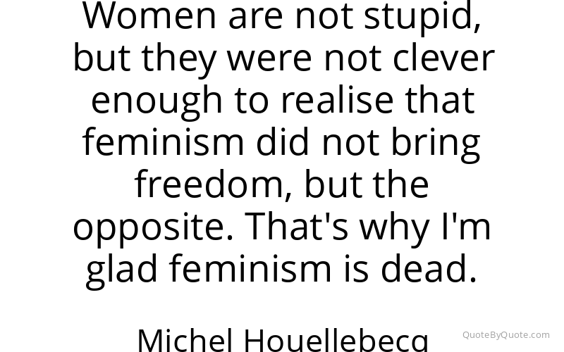 Preview image for this quote by Michel Houellebecq