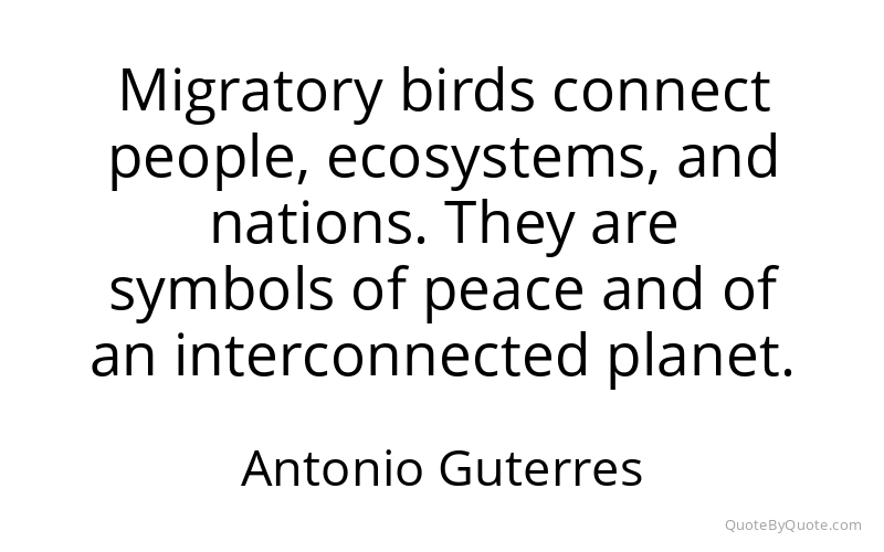 Preview image for this quote by Antonio Guterres