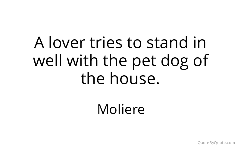 Preview image for this quote by Moliere