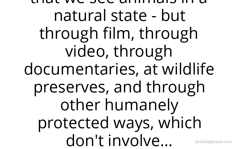 Preview image for this quote by Montel Williams