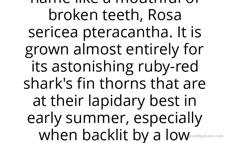 Preview image for this quote by Monty Don