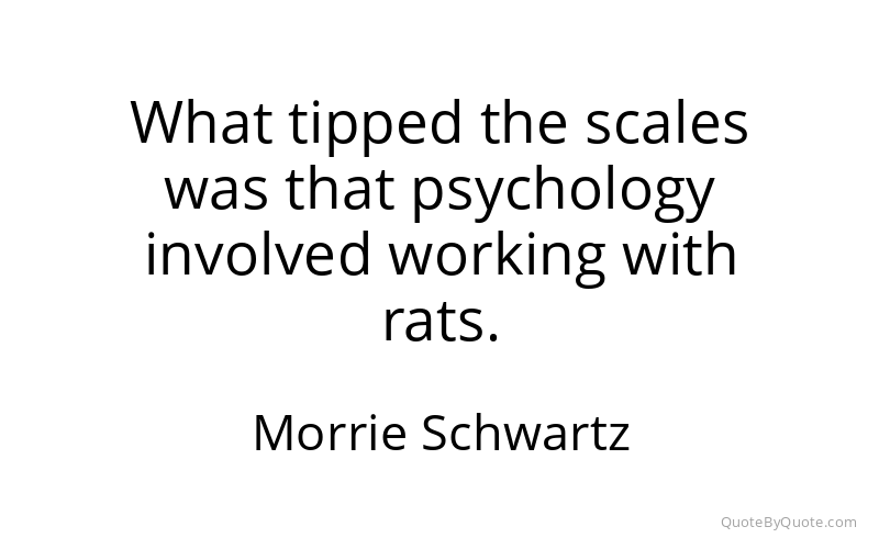 Preview image for this quote by Morrie Schwartz