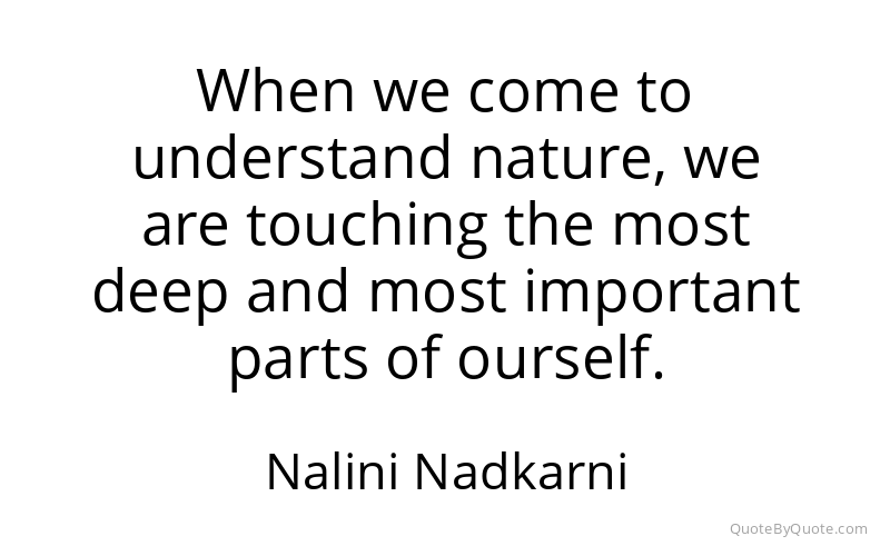 Preview image for this quote by Nalini Nadkarni