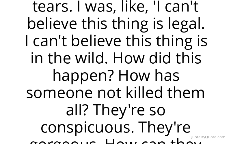 Preview image for this quote by Nell Zink