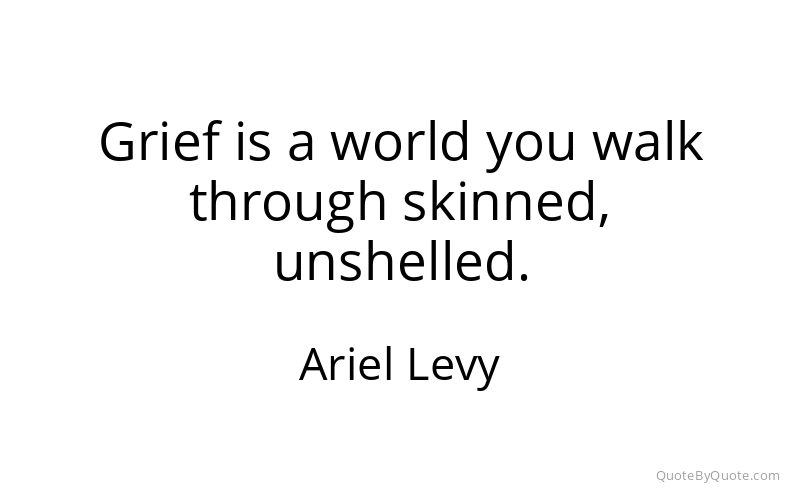Preview image for this quote by Ariel Levy