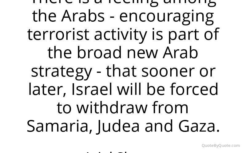Preview image for this quote by Ariel Sharon