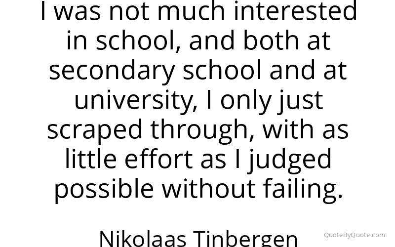 Preview image for this quote by Nikolaas Tinbergen